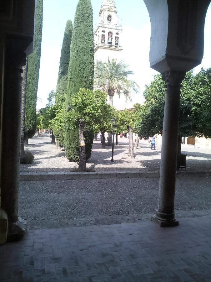 Lineros 24 * Cordoba